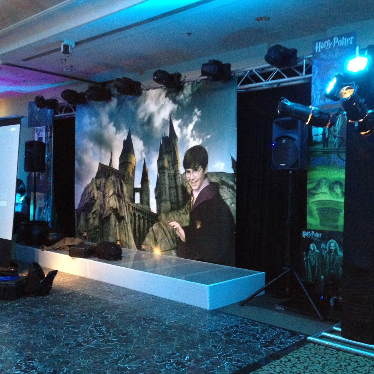 Backdrops for Parties